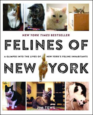 Felines of New York