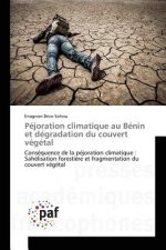 Pejoration climatique au Benin et degradation du couvert vegetal