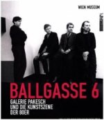 Ballgasse 6 Galerie Pakesch