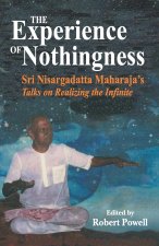 Experience of Nothingness