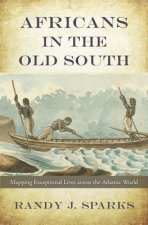 Africans in the Old South