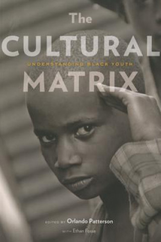Cultural Matrix