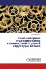 Komp'juternoe modelirovanie kapillyarnoj porovoj struktury betona