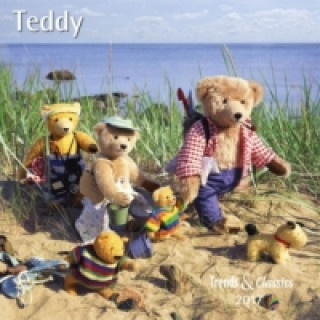 Teddy 2017