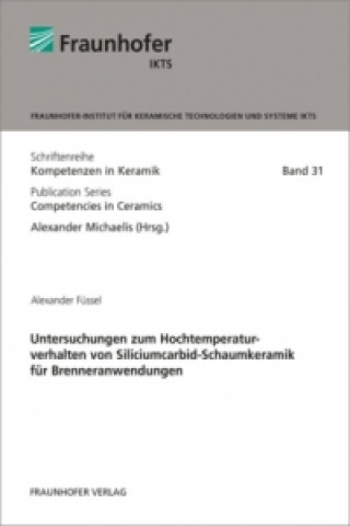 Untersuchungen zum Hochtemperaturverhalten von Siliciumcarbid-Schaumkeramik für Brenneranwendungen.