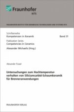 Untersuchungen zum Hochtemperaturverhalten von Siliciumcarbid-Schaumkeramik für Brenneranwendungen.