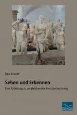 Sehen und Erkennen