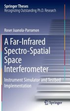 Far-Infrared Spectro-Spatial Space Interferometer