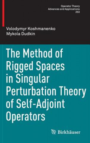 Method of Rigged Spaces in Singular Perturbation Theory of Self-Adjoint Operators