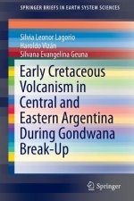 Early Cretaceous Volcanism in Central and Eastern Argentina During Gondwana Break-Up