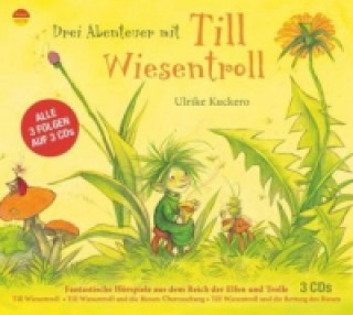 Abenteuer mit Till Wiesentroll, 3 Audio-CDs