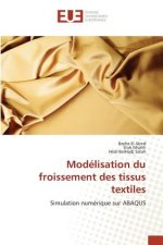 Modelisation Du Froissement Des Tissus Textiles