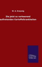 Die jetzt so verheerend auftretenden Kartoffelkrankheiten