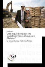 Quel Equilibre Pour Les Investissements Chinois En Afrique?