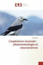 L'expérience musicale : phénoménologie et neurosciences
