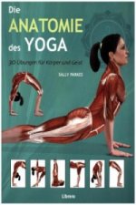 Die Anatomie des Yoga