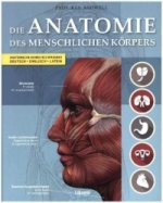 Die Anatomie des menschlichen Körpers