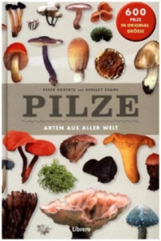 Pilze - Arten aus aller Welt