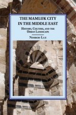 Mamluk City in the Middle East