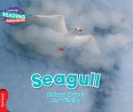 Cambridge Reading Adventures Seagull Red Band