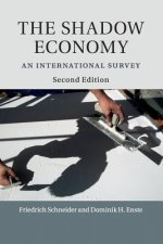 Shadow Economy