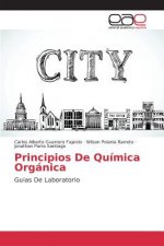Principios De Quimica Organica