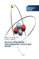 No-Core Shell Model Calculations for some Light Nuclei