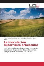 inoculacion micorrizica arbuscular