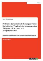 Probleme der sozialen Sicherungssysteme. Ein kritischer Vergleich der Loesungsansatze 