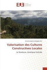 Valorisation Des Cultures Constructives Locales