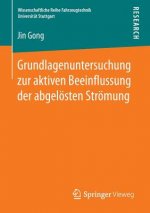 Grundlagenuntersuchung Zur Aktiven Beeinflussung Der Abgeloesten Stroemung