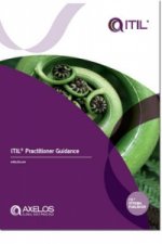 ITIL Practitioner Guidance
