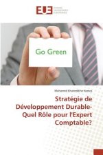 Strategie de Developpement Durable-Quel Role Pour Lexpert Comptable?