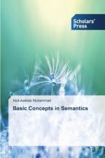 Basic Concepts in Semantics