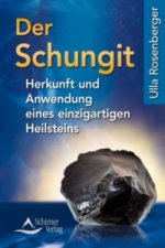 Der Schungit