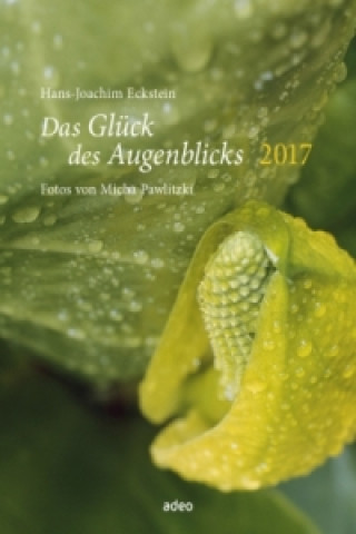 Das Glück des Augenblicks 2017 - Wandkalender