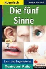 Die fünf Sinne