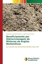 Beneficiamento por Hidrociclonagem de Misturas de Argilas Bentoniticas