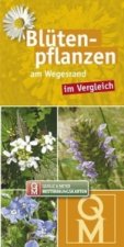Blütenpflanzen am Wegesrand, Bestimmungskarten