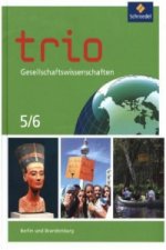 Trio Gesellschaftswissenschaften - Ausgabe 2017 für Berlin und Brandenburg, m. 1 Buch, m. 1 Online-Zugang