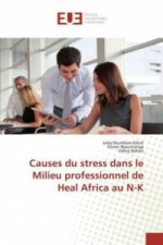 Causes du stress dans le Milieu professionnel de Heal Africa au N-K