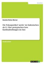 Die Fokuspartikel 'anche' im Italienischen als L1. Ihre protypischen bzw. Kardinalstellungen im Satz