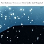 Thord Gustavsen-Trio - What Was Said, 1 Audio-CD