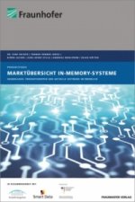 Marktübersicht In-Memory-Systeme