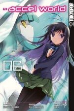 Accel World. Bd.6. Bd.6