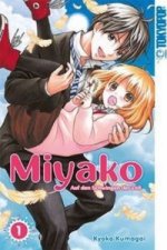 Miyako - Auf den Schwingen der Zeit. Bd.1