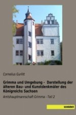 Grimma und Umgebung - Darstellung der älteren Bau- und Kunstdenkmäler des Königreichs Sachsen