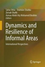 Dynamics and Resilience of Informal Areas
