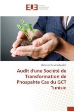 Audit Dune Societe de Transformation de Phospahte Cas Du Gct Tunisie
