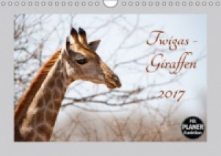 Twigas - Giraffen (Wandkalender 2017 DIN A4 quer)